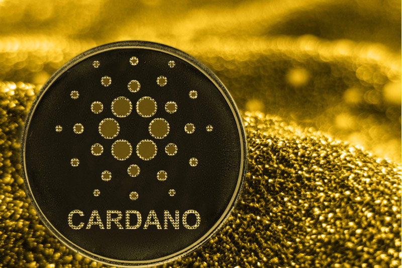 Bitcoin, Ethereum, Solana, Cardano, Ripple, Avax! 100 Dolara Kripto Para Alanlar 1 Senede Kaç Para Kazandı?