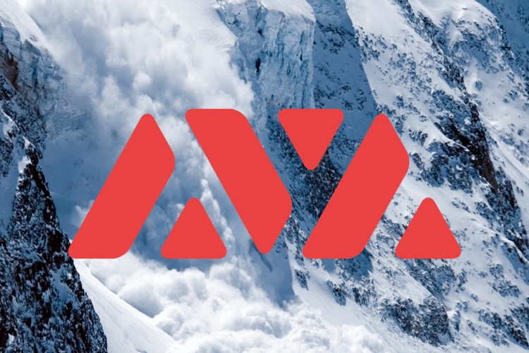 Son Dönemin En Çok Kazandıran Alt Coinlerinden Olan AVAX'ı 2022 Yılında Neler Bekliyor!