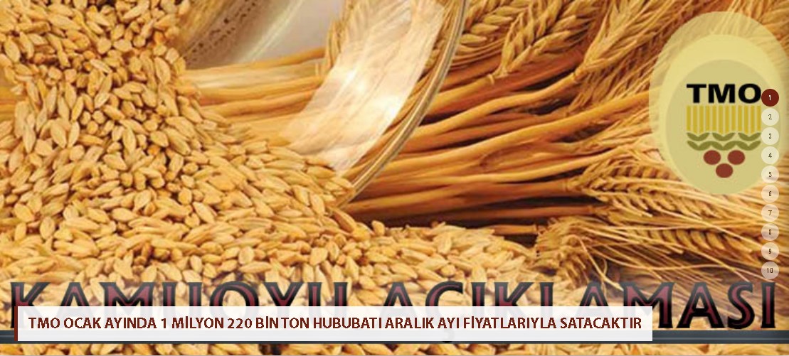 Tepkiler Büyüdü, Ekmek Fiyatlarına Müdahale Geldi! TMO Zam Kararından Döndü