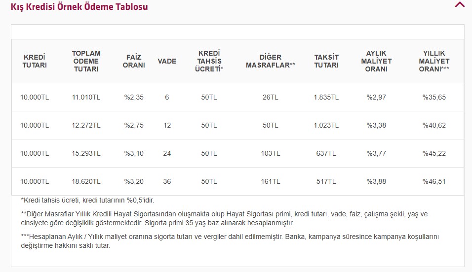 Faturalar Yükseldi, Bankaların Kış Kredisi Kampanyaları Başladı! En Uygun Kredi Hangi Bankada?