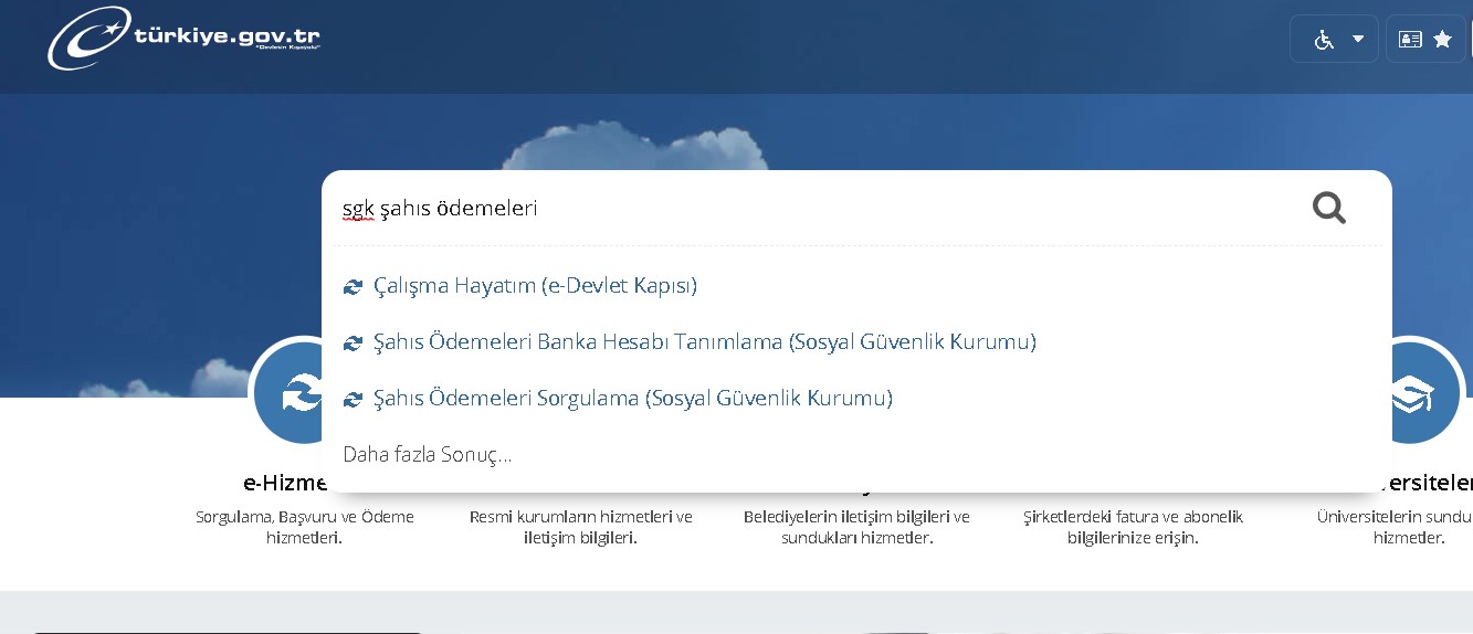 Tek Tıkla Sorgula: E-Devlet Üzerinden Alacağınız Binlerce Liranız Olabilir! Şahıs Ödemeleri, BES, Bankada Kalan Para