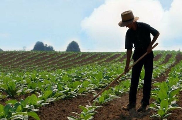 Kredi Borcu Olan Çiftçiler Dikkat! Borcunuzu Ziraat Bankası'ndan Faizsiz, 60 Ay Vade İle Ödeyebilirsiniz!