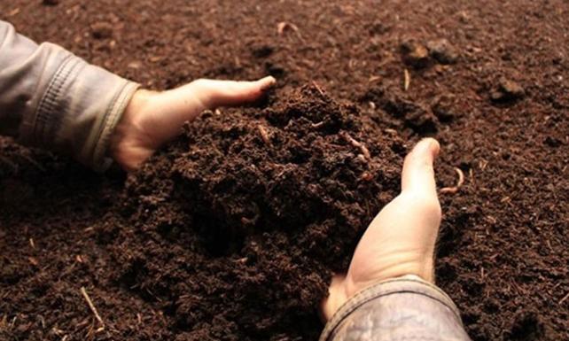 Son Dakika: Tarım Kredi Çiftçilere Destek Çıktı, Gübreye Yüzde 30 İndirim!