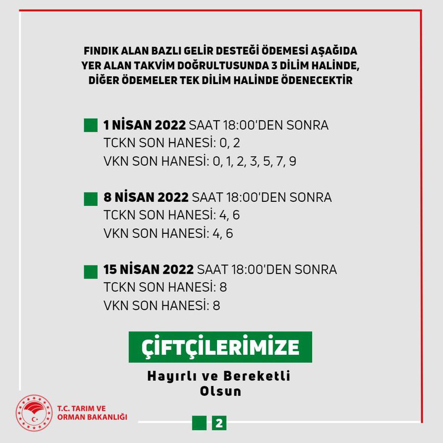 Fındık Alan Bazlı Destekleme Ödemelerinin Tarihi Belli Oldu! Kimlere, Hangi Gün Ödeme Yapılacak?