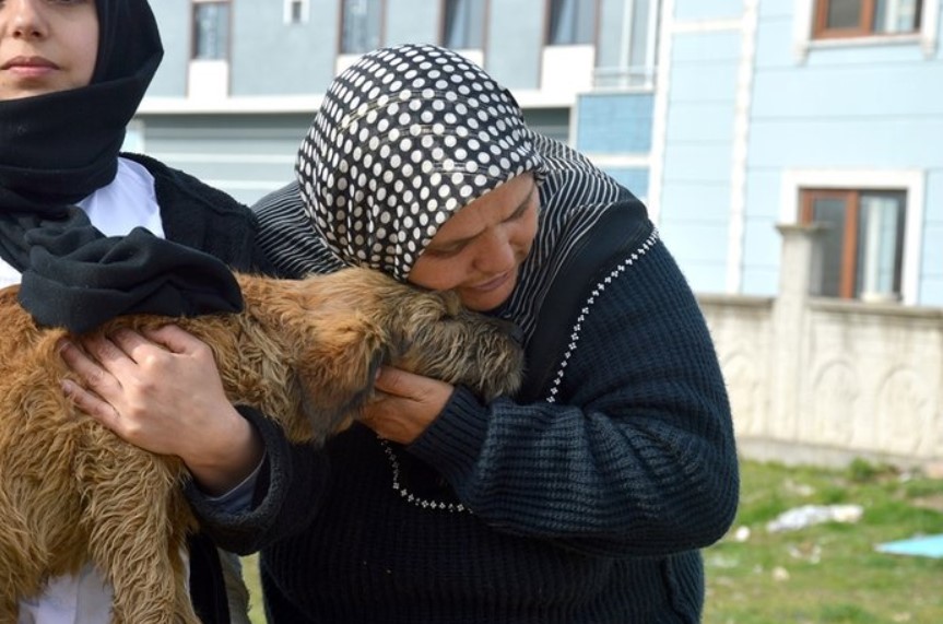 Komşular Arasında Köpek Kavgası! Yaşlı Kadın Onlar Benim Çocuklarım, Göndermem Diyerek Gözyaşı Döktü