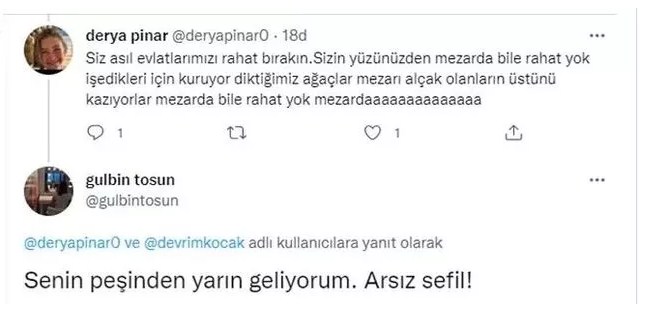 Gülbin Tosun Kimdir, Ne Dedi, Sosyal Medyada Neden Tepki Çekti?