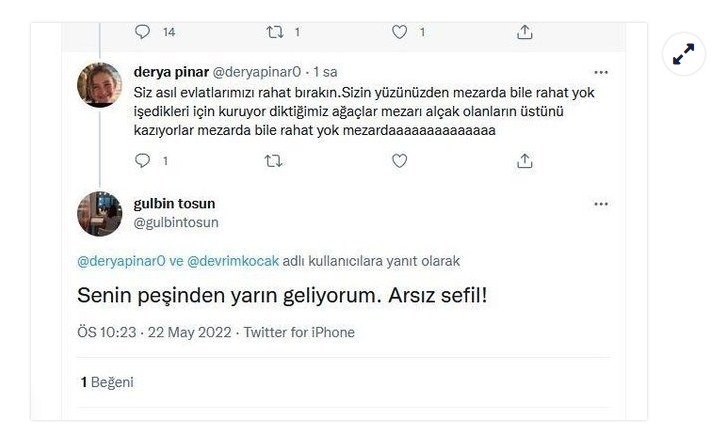 Gülbin Tosun Kimdir, Ne Dedi, Sosyal Medyada Neden Tepki Çekti?