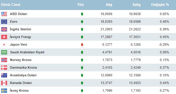 SON DAKİKA: Piyasalardan Alevli Açılış! Gram Altın 1.000 Lirayı, Euro 18 TL'yi Aştı, Dolar Rekor Kırdı