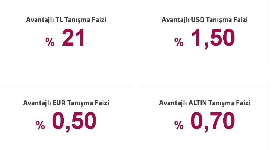 Dolar Birikimi Olana Çifte Kazanç! Haziran 2022 Oranları İle Dolara En Yüksek Faiz Hangi Bankada?