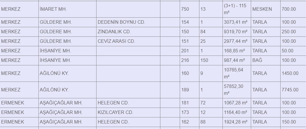 Arsa, dükkan, mesken, bahçe! Konya, Karaman ve Aksaray'da kamudan 139 gayrimenkul kiralanacak