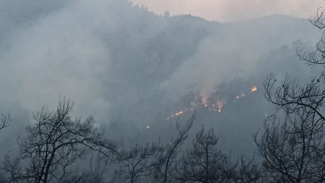 Muğla Marmaris orman yangınında son durum ne, yangın neden çıktı? Bakan Soylu'dan açıklama!