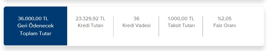 İş Bankası Aylık 1.000 TL Taksit Ödemeyi Kabul Edenlere Ne Kadar İhtiyaç Kredisi Kullandırıyor?