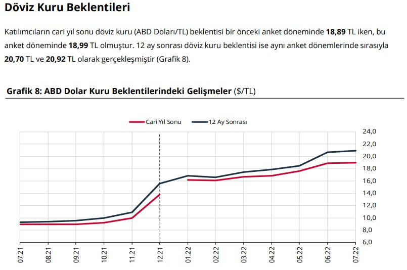 Merkez Bankası 2022 Yıl Sonu Dolar ve Enflasyon Tahmini Açıklandı! TCMB Temmuz 2022 Piyasa Katılımcıları Anketi