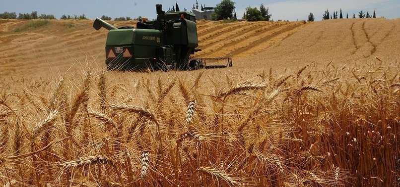 Tarım ve Orman Bakanı Kirişçi müjdeyi duyurdu: Çiftçiye destek ödemesi başladı!