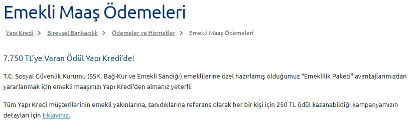 Bankalar en yüksek promosyon teklifi için birbiri ile yarışıyor! Özel bankalar gaza bastı, emekli maaşı promosyonu için sınır 9 bin liraya dayandı