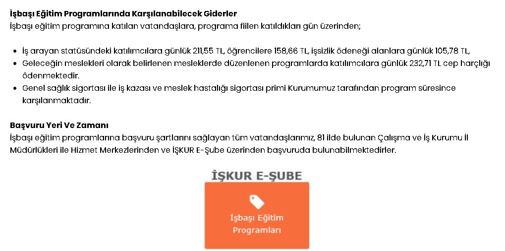 İŞKUR'dan çalışmayan kadınlara destek! İŞKUR üzerinden yüzbinlerce kişiye ödenecek, günlük 232.71 TL cep harçlığı