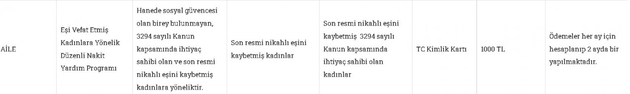 e-Devlet başvuru ekranı 00:00'da açılıyor! Devletten ihtiyaç sahibi kadınlara ev hanımlarına 1000 TL çocuklara 600 Lira nakit para yardımı