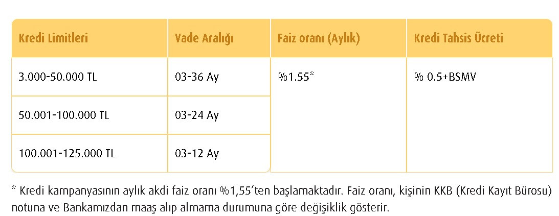 Kamu bankaları emeklilere 16.000 TL verecek! Halk Bankası, Vakıfbank ve Ziraat emekliye düşük faizli kredi kampanyası başlattı