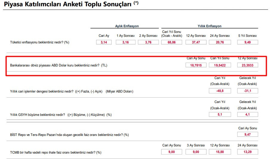 TL'nin patronu tartışmalara son noktayı koydu 1 ay sonra için Aralık ayı dolar kuru tahmini açıklandı!