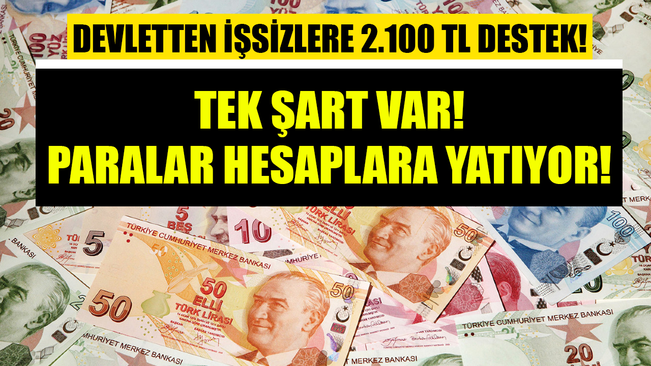 Çocuklu ailelere 1.250 TL devlet desteği! Kimliğini gösteren PTT'den parasını alıyor!