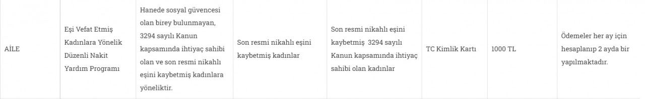 Kadınlara nakit devlet destekleri! Başvurusu onaylananlara 12 Bin TL'ye kadar ödeme!