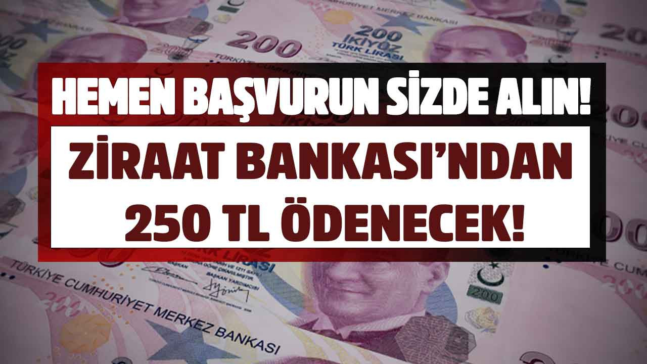 Bakan Yanık duyurdu paralar bugün yatırılıyor 14:00'te hesaplarınızı kontrol edin