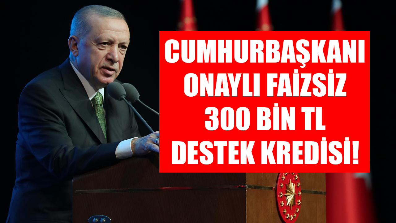 İhtiyaç kredisinde yıl sonu faiz sürprizleri! TEB, Akbank, Halkbank'tan 25 Bin TL'lik kampanyalar!