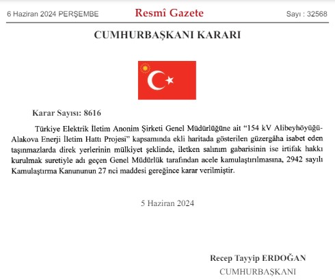 8616.jpg